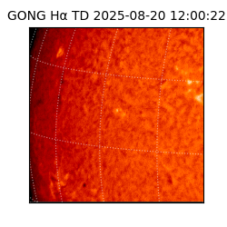 gong - 2025-08-20T12:00:22