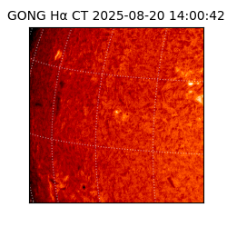 gong - 2025-08-20T14:00:42