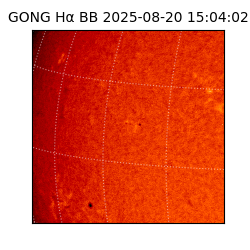 gong - 2025-08-20T15:04:02
