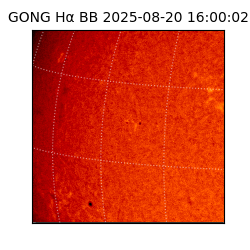 gong - 2025-08-20T16:00:02