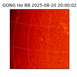 gong - 2025-08-20T20:00:02