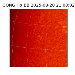 gong - 2025-08-20T21:00:02