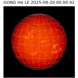 gong - 2025-08-20T00:00:42