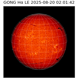 gong - 2025-08-20T02:01:42