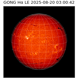 gong - 2025-08-20T03:00:42