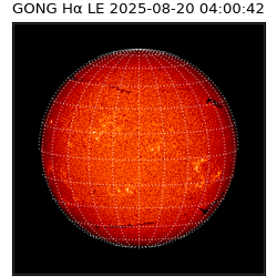 gong - 2025-08-20T04:00:42