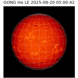 gong - 2025-08-20T05:00:42