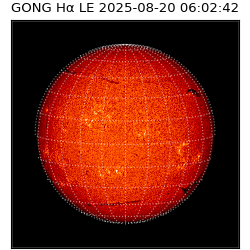 gong - 2025-08-20T06:02:42