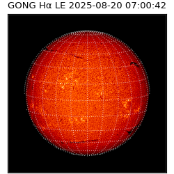 gong - 2025-08-20T07:00:42