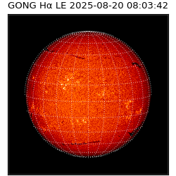 gong - 2025-08-20T08:03:42