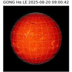 gong - 2025-08-20T09:00:42