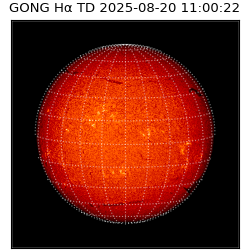 gong - 2025-08-20T11:00:22