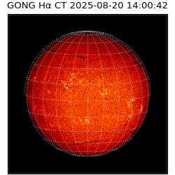 gong - 2025-08-20T14:00:42