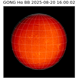 gong - 2025-08-20T16:00:02