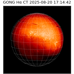 gong - 2025-08-20T17:14:42