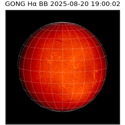 gong - 2025-08-20T19:00:02