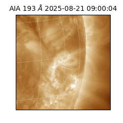 saia - 2025-08-21T09:00:04.843000