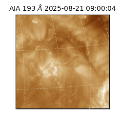 saia - 2025-08-21T09:00:04.843000