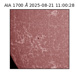 saia - 2025-08-21T11:00:28.717000