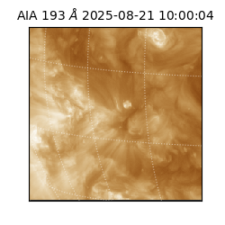 saia - 2025-08-21T10:00:04.846000