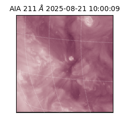 saia - 2025-08-21T10:00:09.630000