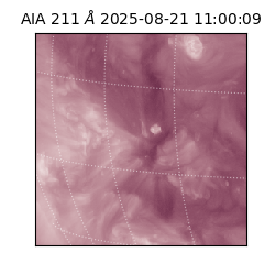 saia - 2025-08-21T11:00:09.631000