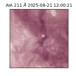 saia - 2025-08-21T12:00:21.622000