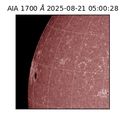 saia - 2025-08-21T05:00:28.717000