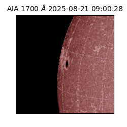 saia - 2025-08-21T09:00:28.717000