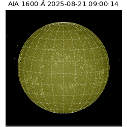 saia - 2025-08-21T09:00:14.132000