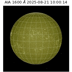 saia - 2025-08-21T10:00:14.138000