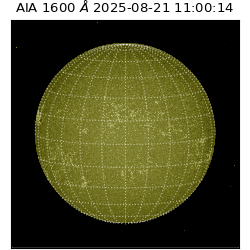 saia - 2025-08-21T11:00:14.134000