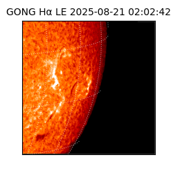 gong - 2025-08-21T02:02:42