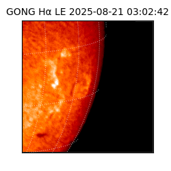 gong - 2025-08-21T03:02:42