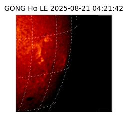 gong - 2025-08-21T04:21:42