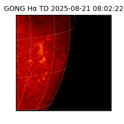 gong - 2025-08-21T08:02:22