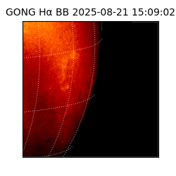 gong - 2025-08-21T15:09:02
