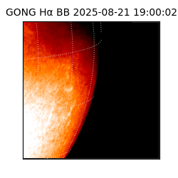 gong - 2025-08-21T19:00:02