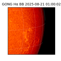 gong - 2025-08-21T01:00:02