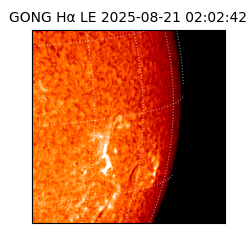 gong - 2025-08-21T02:02:42