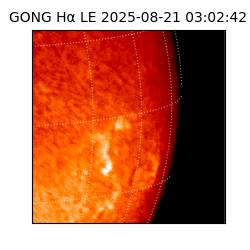 gong - 2025-08-21T03:02:42