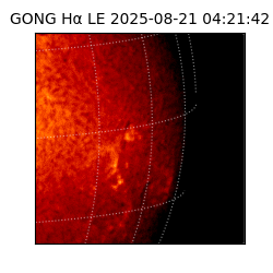 gong - 2025-08-21T04:21:42