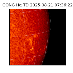gong - 2025-08-21T07:36:22