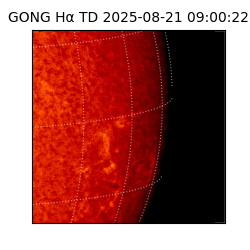 gong - 2025-08-21T09:00:22