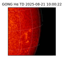 gong - 2025-08-21T10:00:22