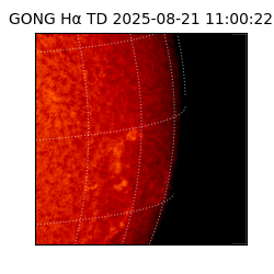 gong - 2025-08-21T11:00:22