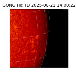 gong - 2025-08-21T14:00:22