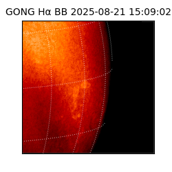 gong - 2025-08-21T15:09:02