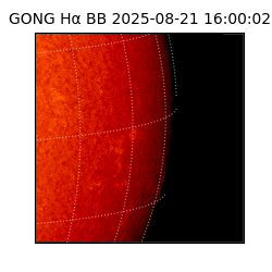gong - 2025-08-21T16:00:02