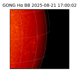 gong - 2025-08-21T17:00:02